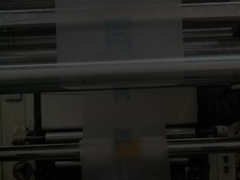 Αγνός PE Τυπωμένο πλαστικό γιλέκο τσάντες μεταφοράς Custom μέγεθος για ψώνια